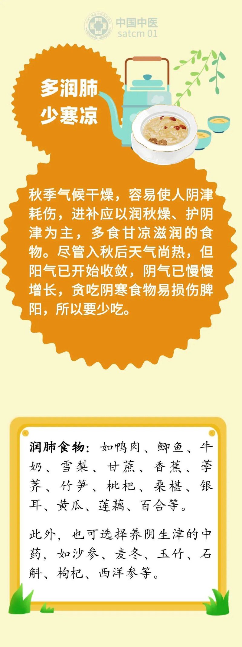 高血压防治：家庭监测与药物治疗的平衡之道